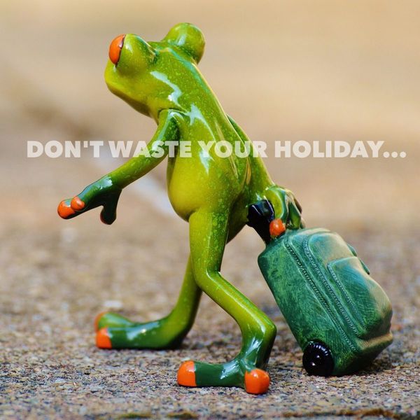 Don't waste your holiday